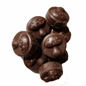 lions mane mushroom chocolate with lions mane mushroom extract and vegan dark chocolate