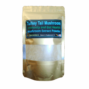 Turkey Tail Mushroom Extract Powder