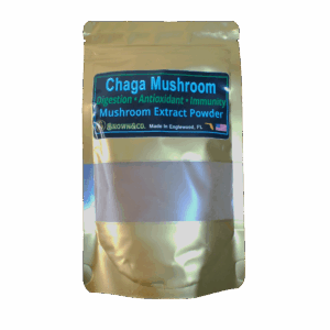 Chaga Mushroom Extract Powder
